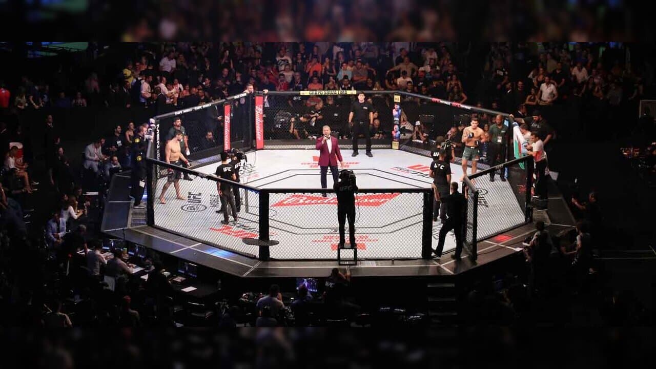 موعد عروض UFC أبو ظبي 2024