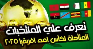 تعرف على المنتخبات المتأهلة لكأس إفريقيا 2025 حتى الآن