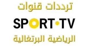 مجانا.. القنوات المجانية الناقلة لمباراة باتشوكا وبوتافوجو في كأس إنتركونتيننتال