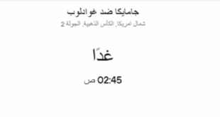 موعد مباراة جامايكا ضد غوادلوب
