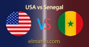 usa-vs-senegal-arab-fans-charlotte