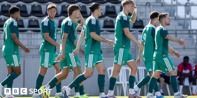 Northern Ireland 1-0 Guinea: NI 'showed great character' in Guinea win - Michael O'Neill