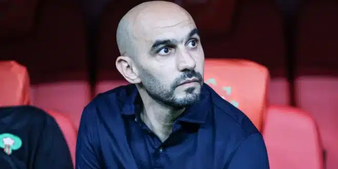وليد الركراكي، لا